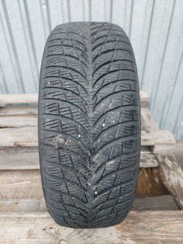Шины б/у 195 55 R16 GoodYear UltraGrip 7 rft 241703 фото