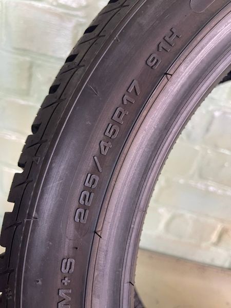 Шини б/в 225/45 R17 Sava Eskimo HP2 251656 фото